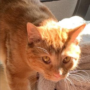 Meet your Posher, Justine